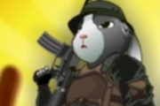 Rabbit Sniper